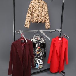 Double-Tier Double-Sided 12-Hook Painted Hanger Stand - Image 3